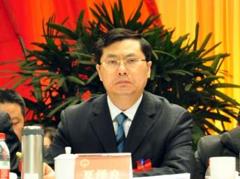 重庆南岸区委书记夏泽良